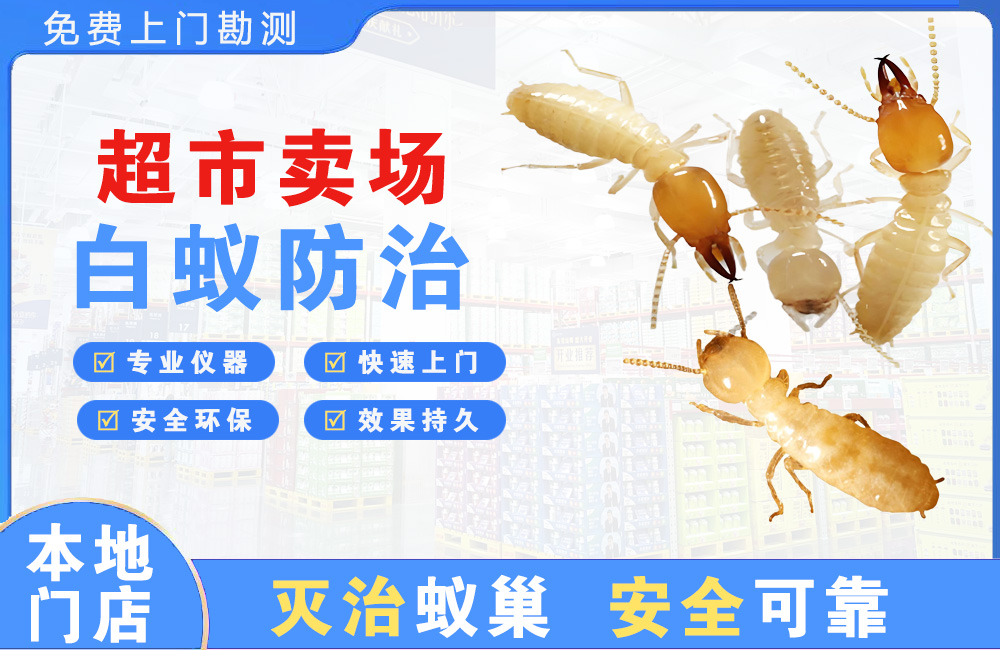 楚雄超市卖场白蚁防治