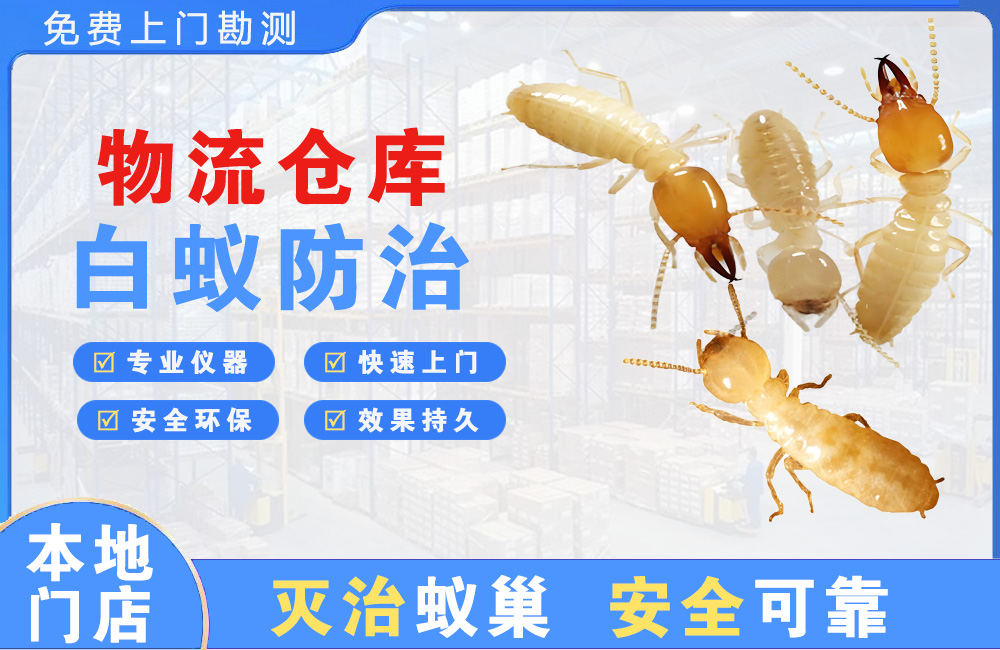 楚雄物流仓库白蚁防治