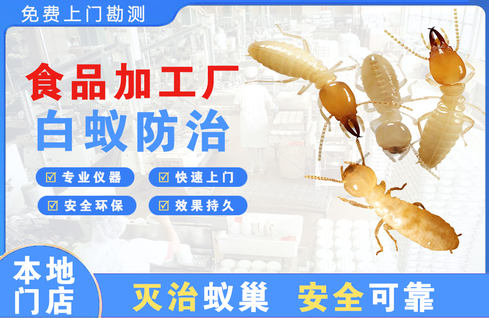 楚雄食品加工厂白蚁防治