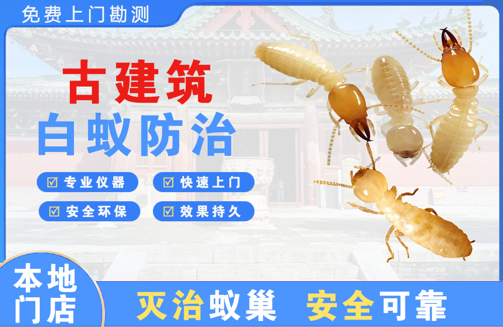 楚雄古建筑白蚁防治