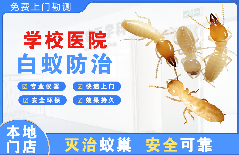 楚雄学校医院白蚁防治