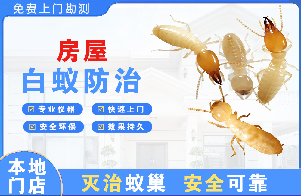 楚雄房屋白蚁防治