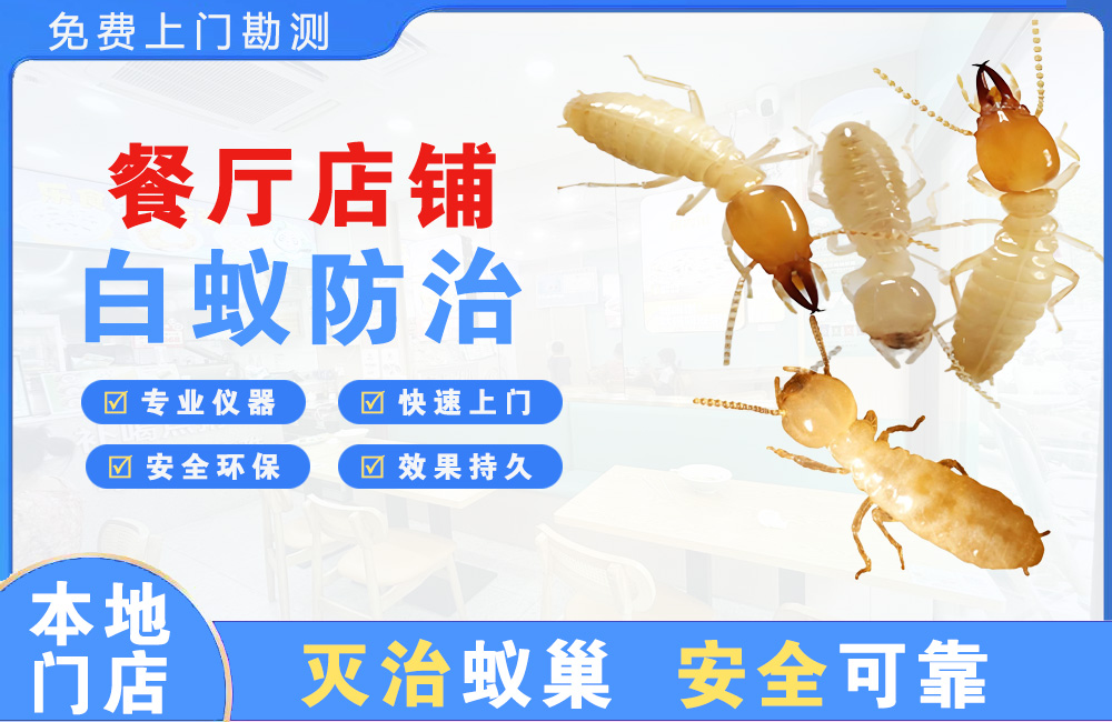楚雄餐厅店铺白蚁防治